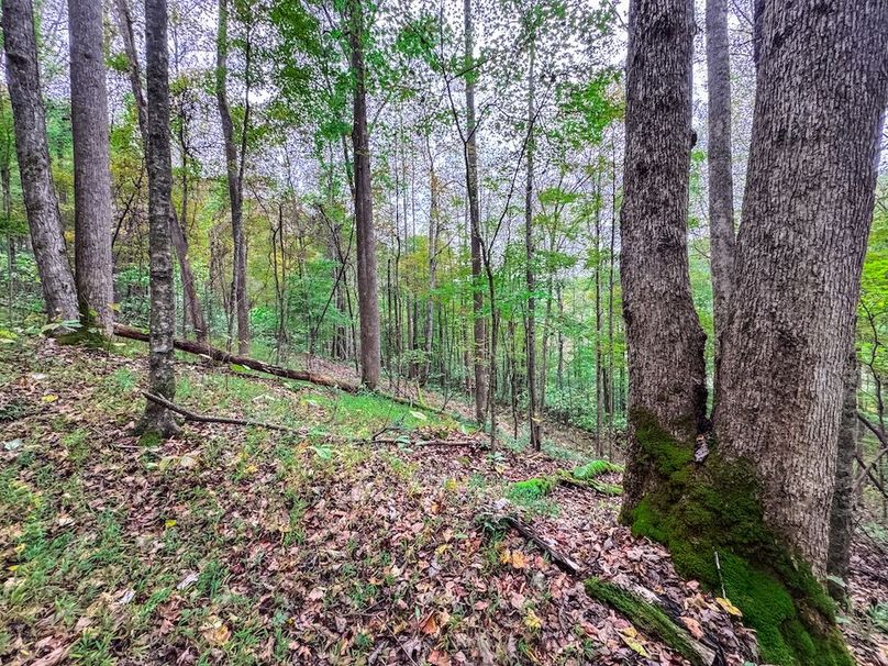 Webster, WV 13.8 AC Heldreth-10