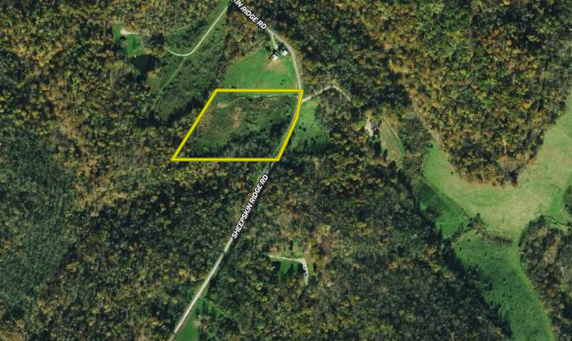 Screenshot 2024-06-19 at 12.22.58 PM