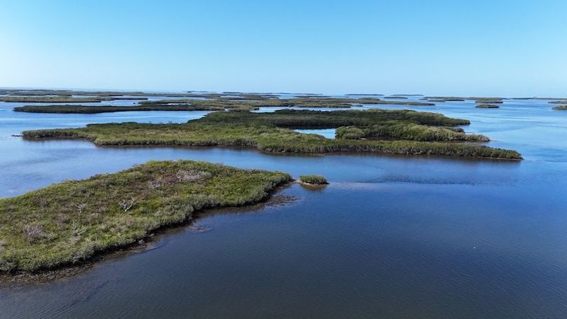 17.17ac, Citrus, Josiah Ronco15