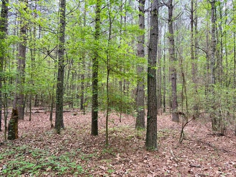 62A182DA-3320-4C09-A582-08A4CCE59B46_1_105_c