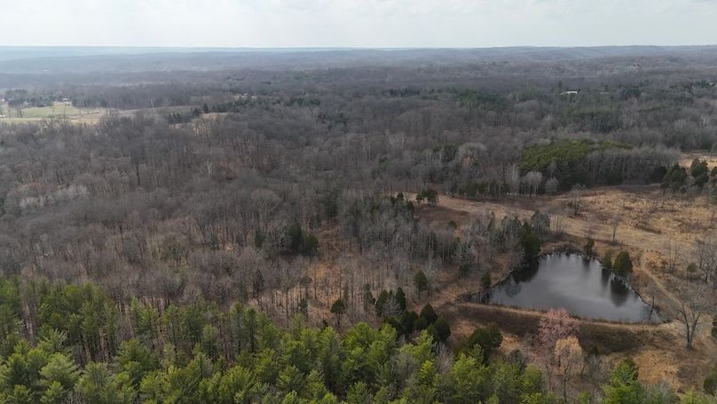 DJI_20250314170319_0266_D