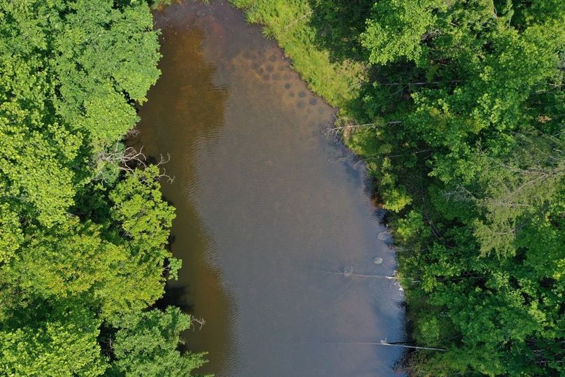 018 a low elevation drone shot at the head of the pond showing even more bluegill nests-2