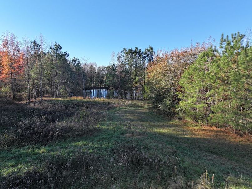 Copy of DJI_20241124091559_0240_D