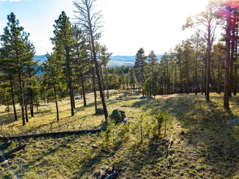 20250430-DJI_0003