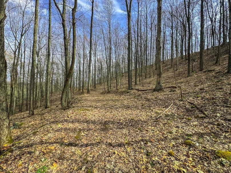 Ritchie, WV 206.08 AC Curriden-48