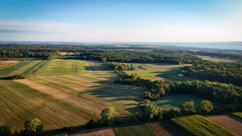 Copy of Wood Main Listing Photo 6