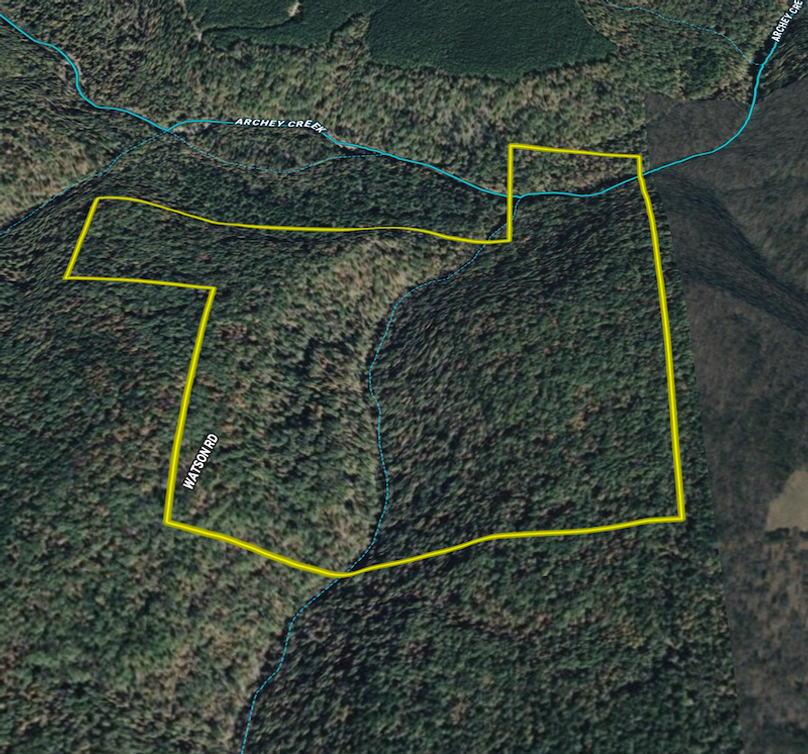 Screenshot 2026-03-17 at 10.08.30 AM