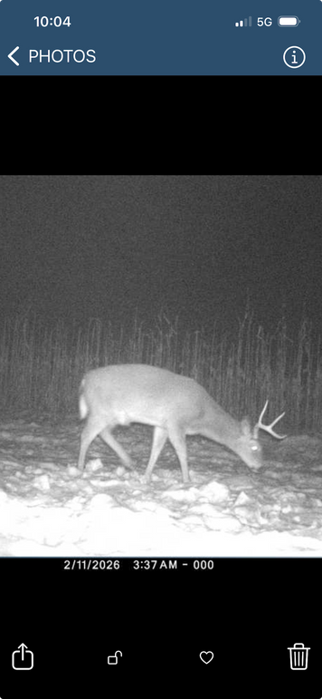 Screenshot 2026-04-02 at 10.04.33 AM