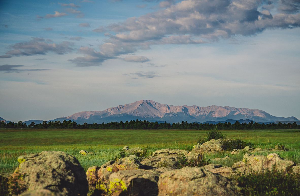 Douglas CO 35 Prettyman - 03