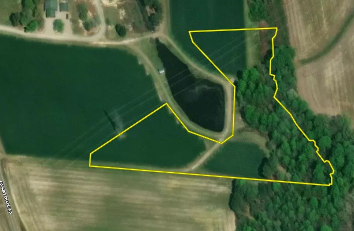 Aerial Close