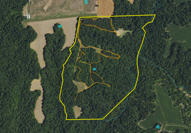 Screen Shot 2024-02-22 at 6.08.04 AM