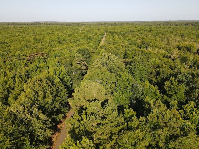 DJI_0398