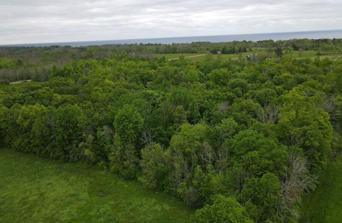 4 dji_fly_20250531_173218_26_1748727149215_photo