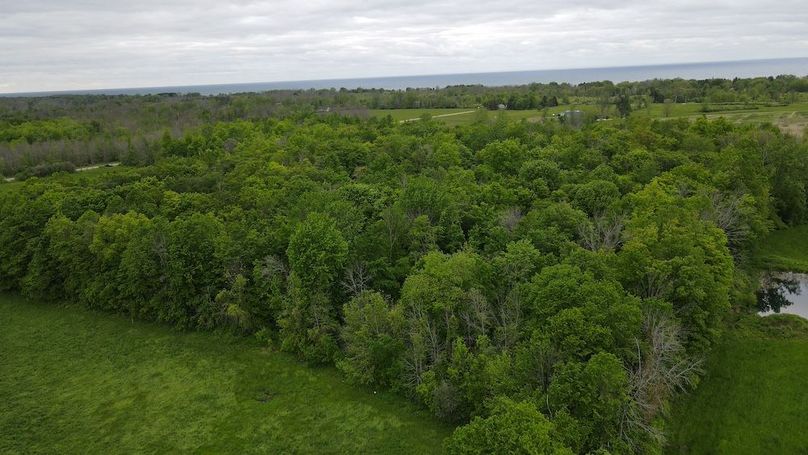 4 dji_fly_20250531_173218_26_1748727149215_photo