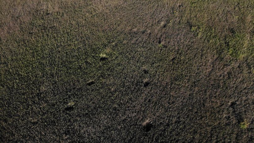 Grant 110 - 14 of 47