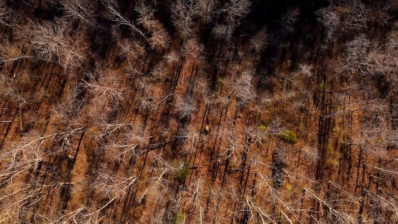 DRONE.00_01_50_03.Still007