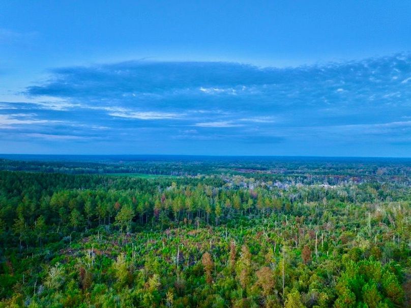 5EBFD8F8-BE01-4F9B-9DED-82747BC10CEB_1_105_c