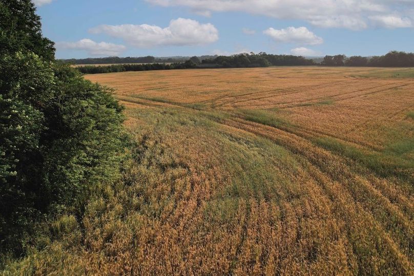 Lamar County- 92.66 Acres (20 of 29)