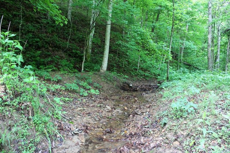 023 intermittent stream at mouth of main hollow