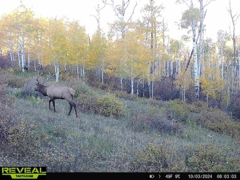 864049052055672-20-4-10032024080302-HD-W1001298 (1)