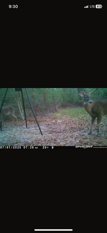 Trail Pic 14