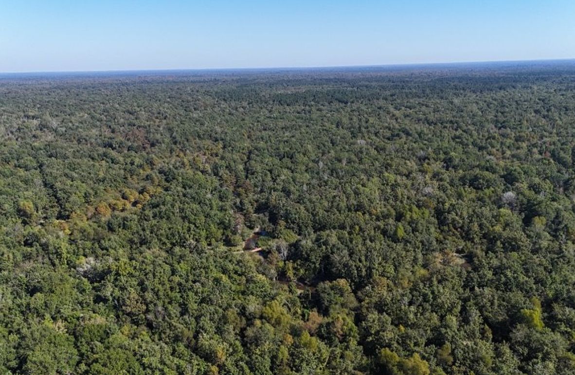 Copy of dji_fly_20251014_234200_0048_1760476900141_photo