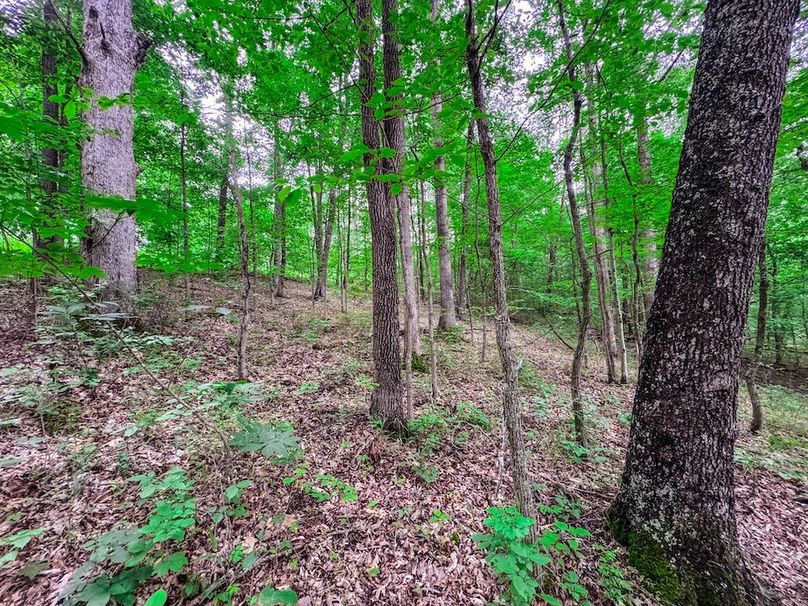 Tyler, WV 313.87 AC -18