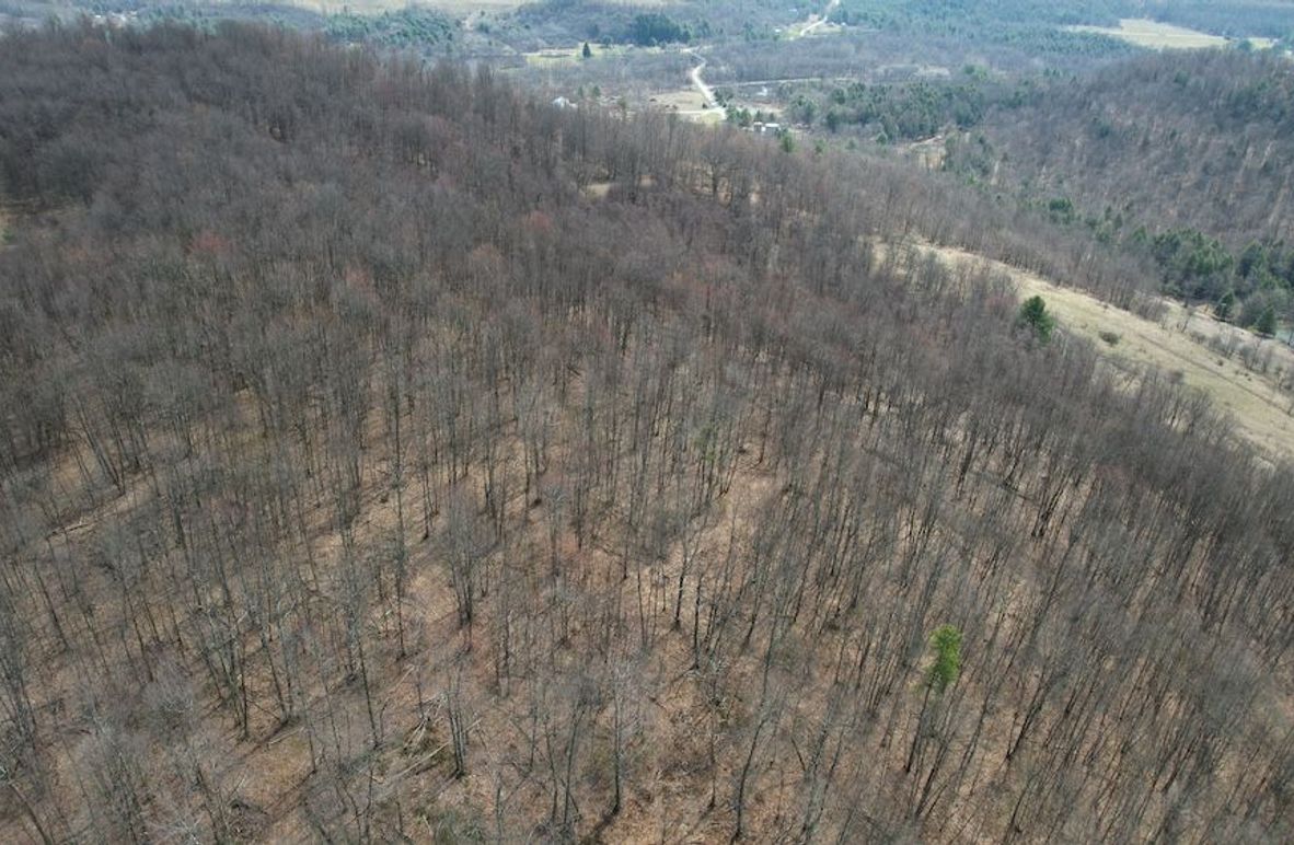 dji_fly_20260330_112604_219_1774884957401_photo