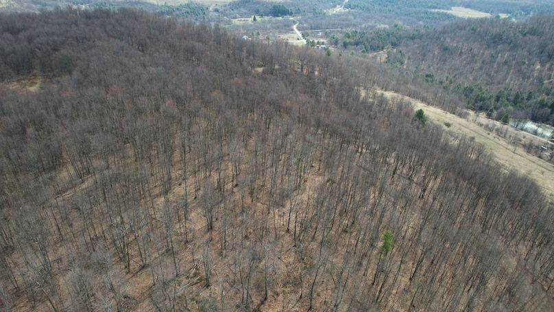 dji_fly_20260330_112604_219_1774884957401_photo