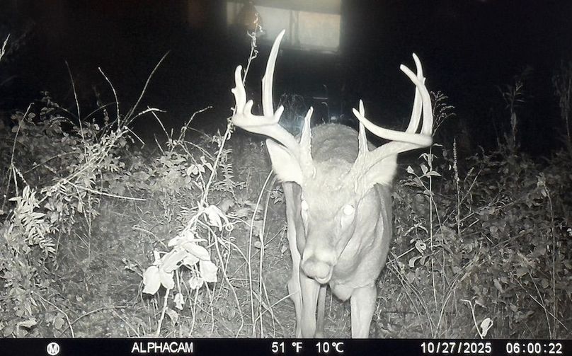 TRAIL CAM 4