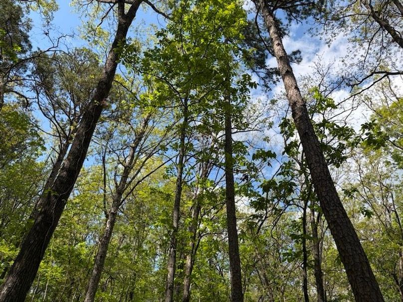 A5070C57-0443-4BA0-B292-EC888245488F_1_105_c