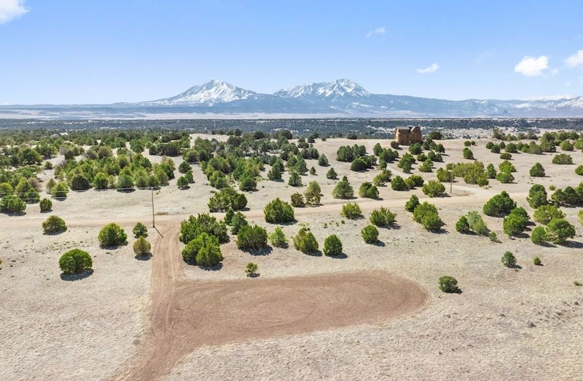 01 - Property View(1)