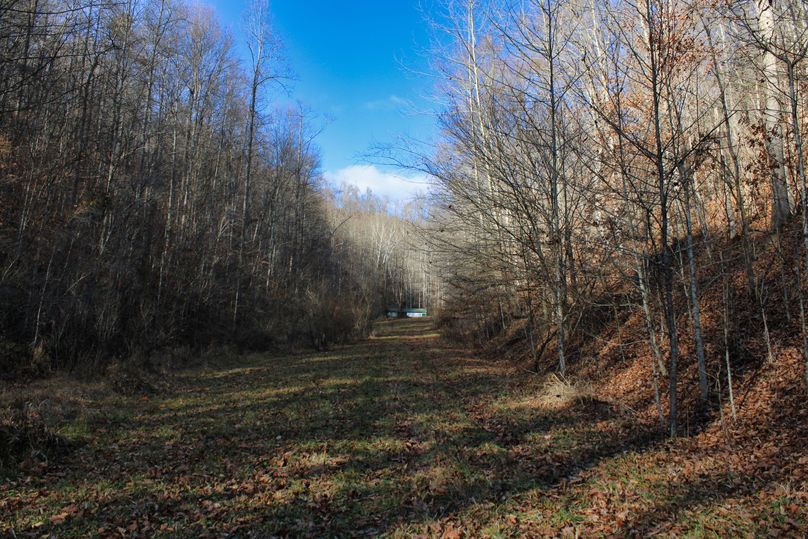 029 road leading up to the head of the valley