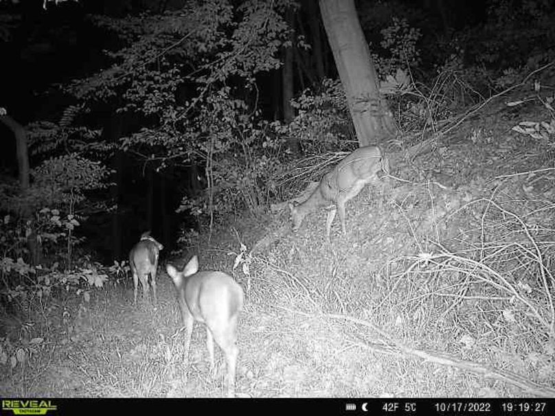 b45f3169-7f5e-483d-a590-cbf30fc9163c