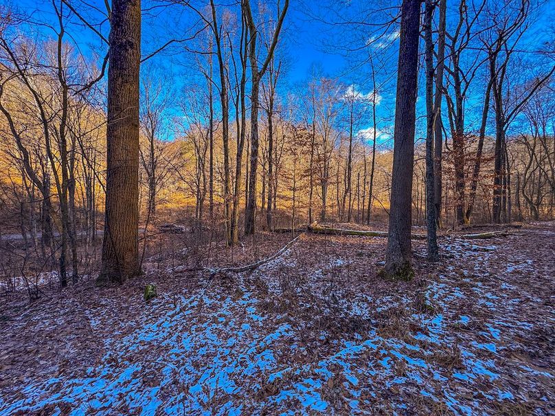 Pleasants, WV 81 AC Barron-13