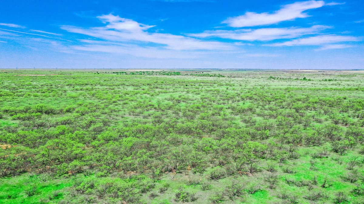 TurnKey Large Acreage Hunting Ranch Near Wichita Falls, TX Whitetail