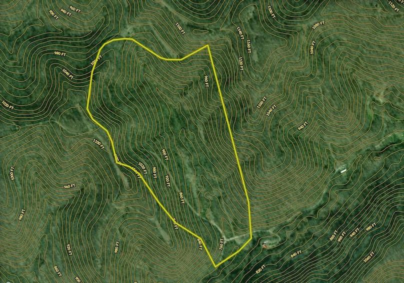 Screenshot 2026-02-02 at 11.28.07 AM