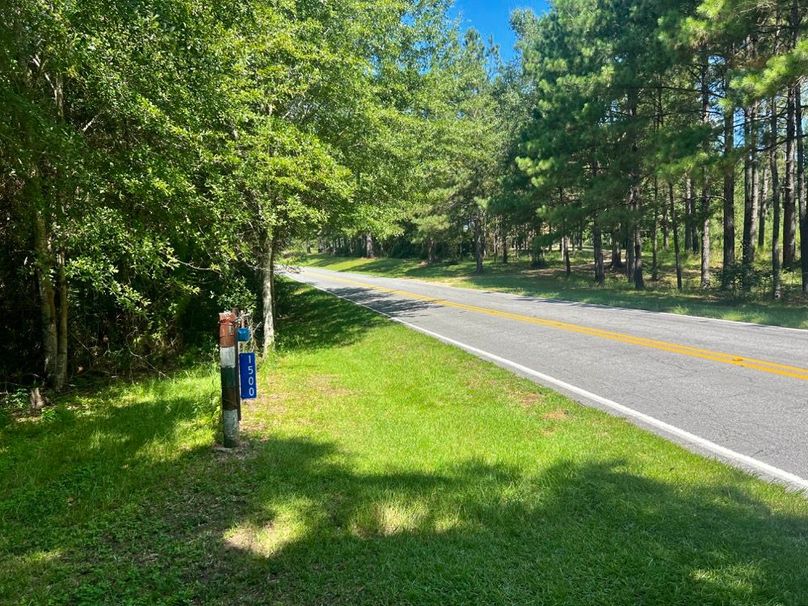 E31D6F3B-5CFF-486E-8A9A-84FC1394E0C9_1_201_a