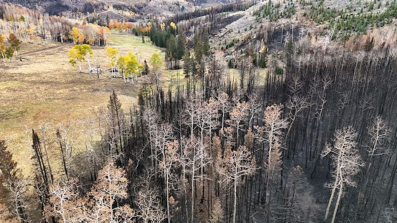 DJI_20250927082805_0035_D