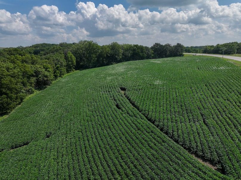 Olmsted 42.63 New-14