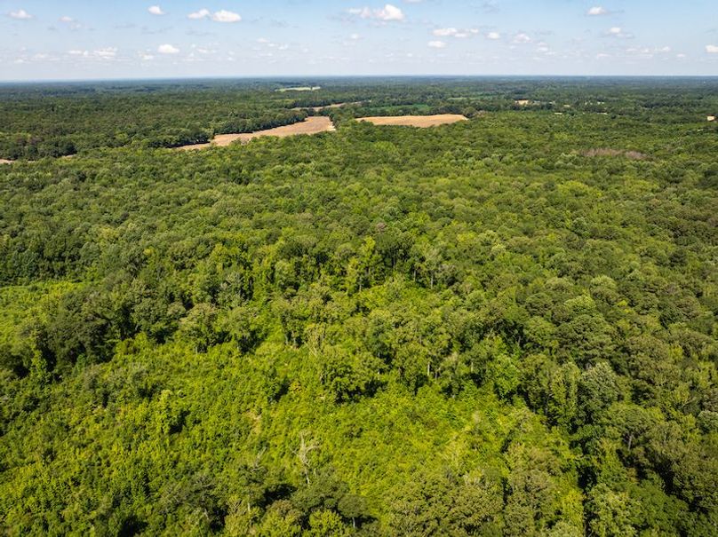 Itawamba 400 Moore-29