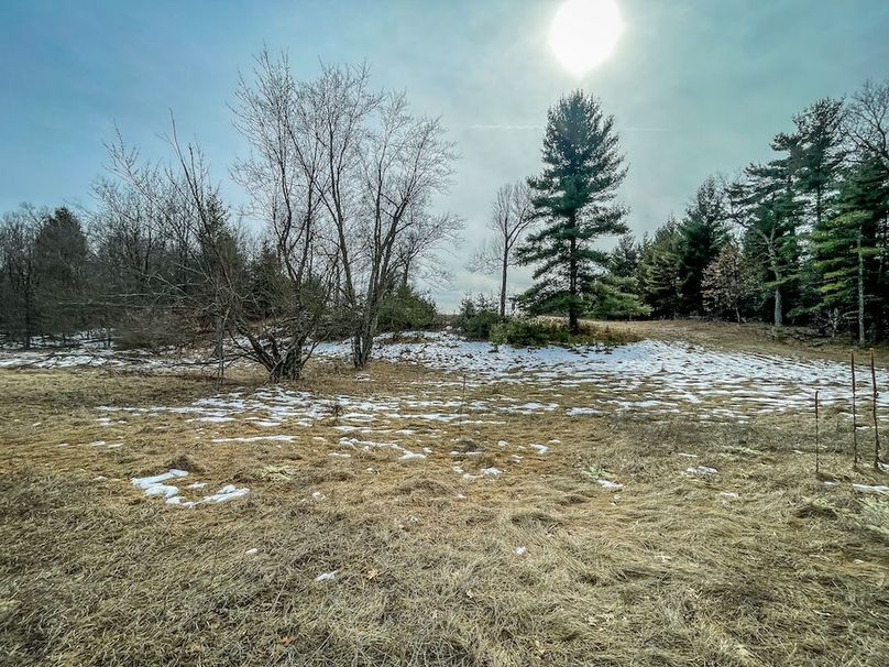 Adams 10.06 Johnson-42