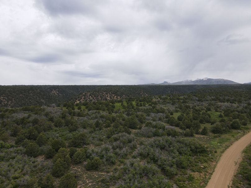 dji_export_1685968225667