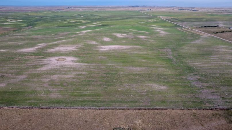 DJI_20250823061941_0201_D-HDR