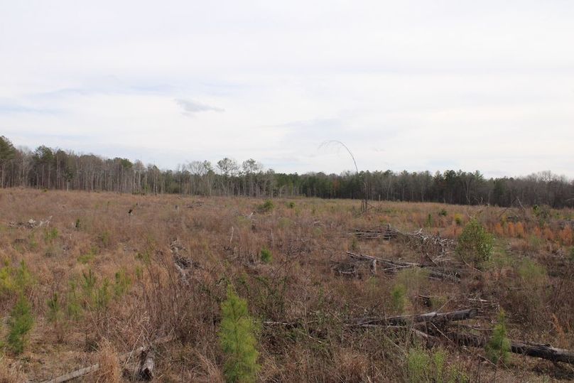 3A6B9D4B-2F55-48F6-8FB8-44A5A81441BE