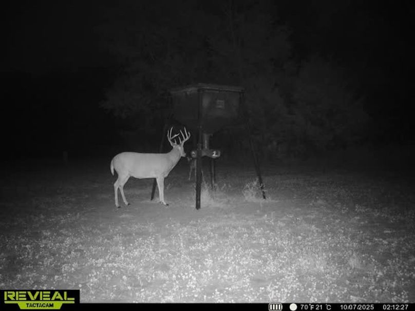 865509050100068-100-3-10072025021245-w1006024