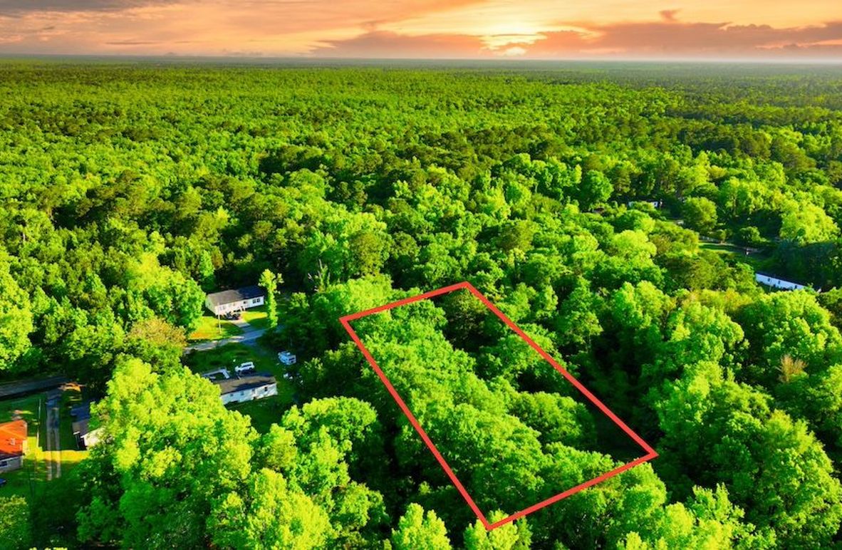 MODIFIED-2025-05-14-DJI_0124