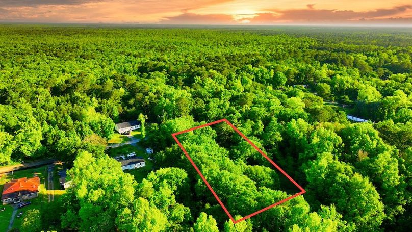 MODIFIED-2025-05-14-DJI_0124