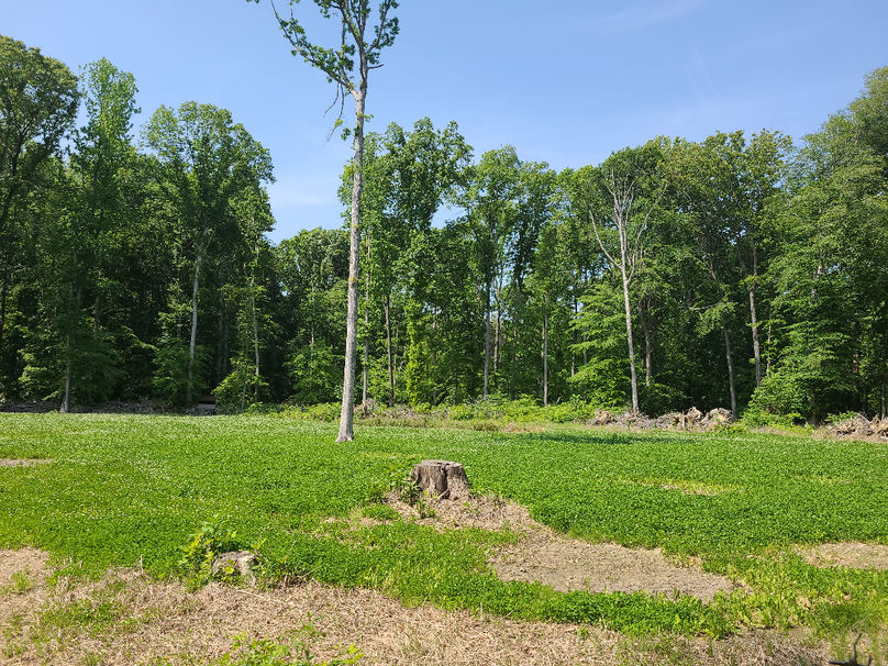 26.48ac_McKenneyLn_QAnnes_40