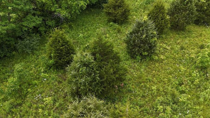 DJI_20250605132153_0659_D